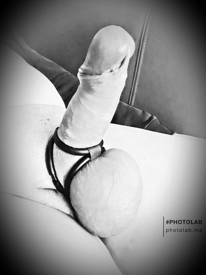 7a77cdec-778e-4702-9515-7b5295581ad5.jpg - dino8