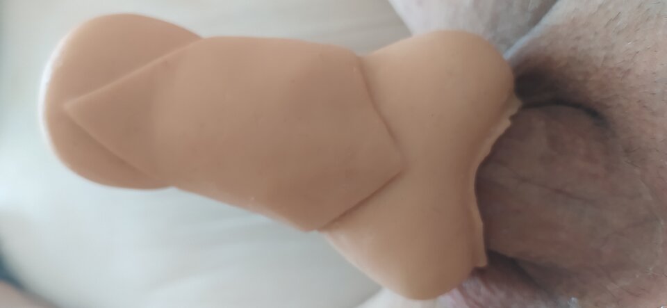 IMG_20220314_125337.jpg - misjogi10