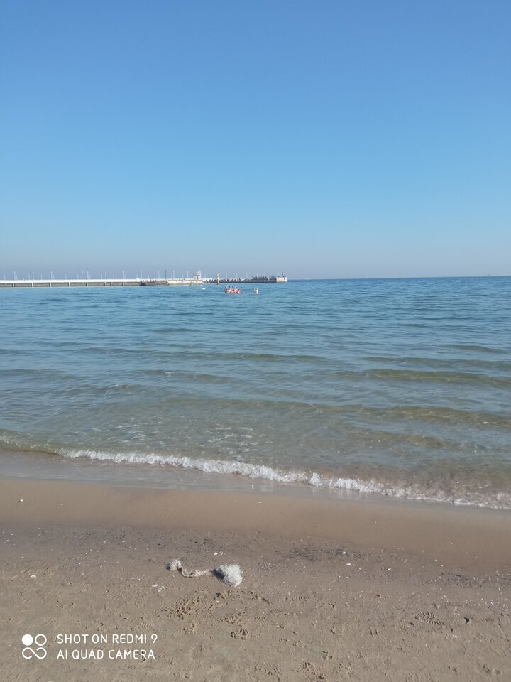 Sopot morsy+ molo - Smieszka80