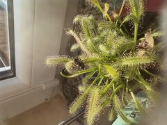 IMG_20220313_161811.jpg