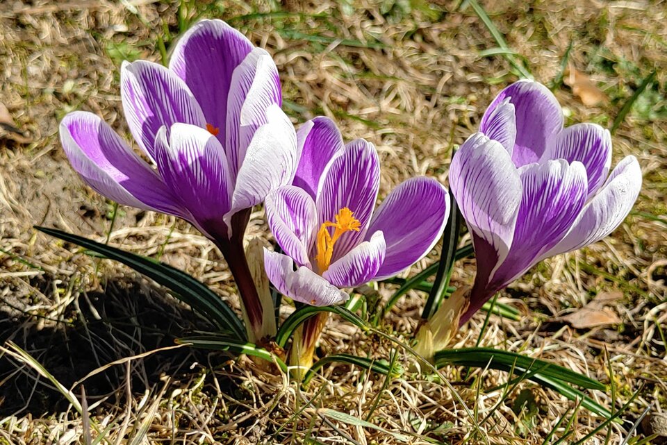 20220313_125742_HDR_(1)_compress32.jpg - bobb2