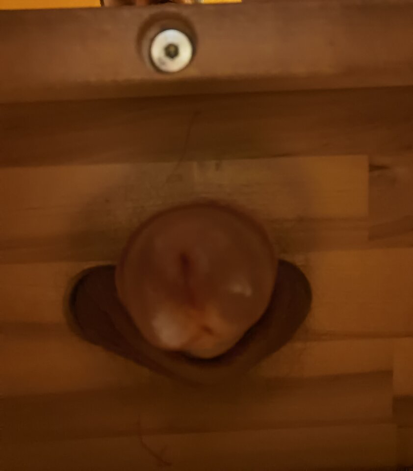 IMG_20220315_010523_edit_419014972391789.jpg - Mabakol