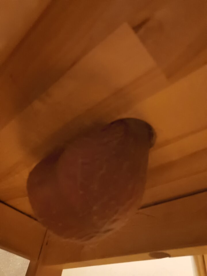 IMG_20220315_011258.jpg - Mabakol