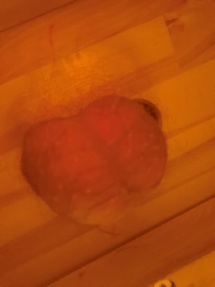 IMG_20220315_011249.jpg - Mabakol