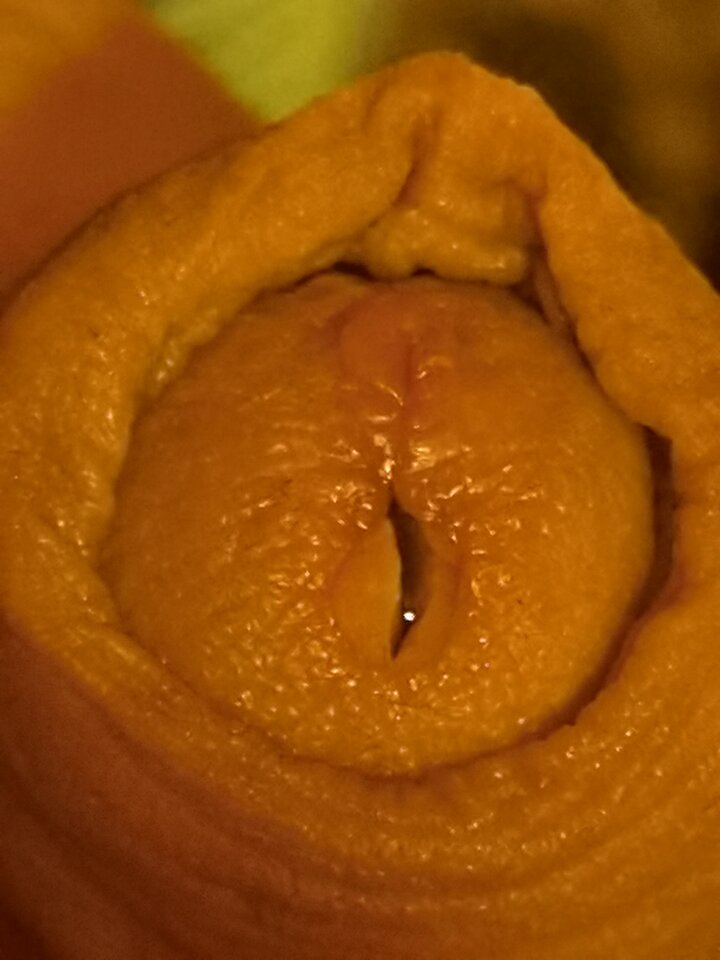 1647391426478.jpg - Mabakol