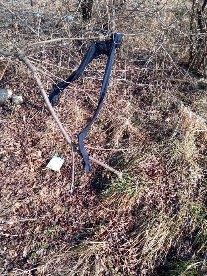 IMG_20220316_142903_2.jpg - rajstopek97