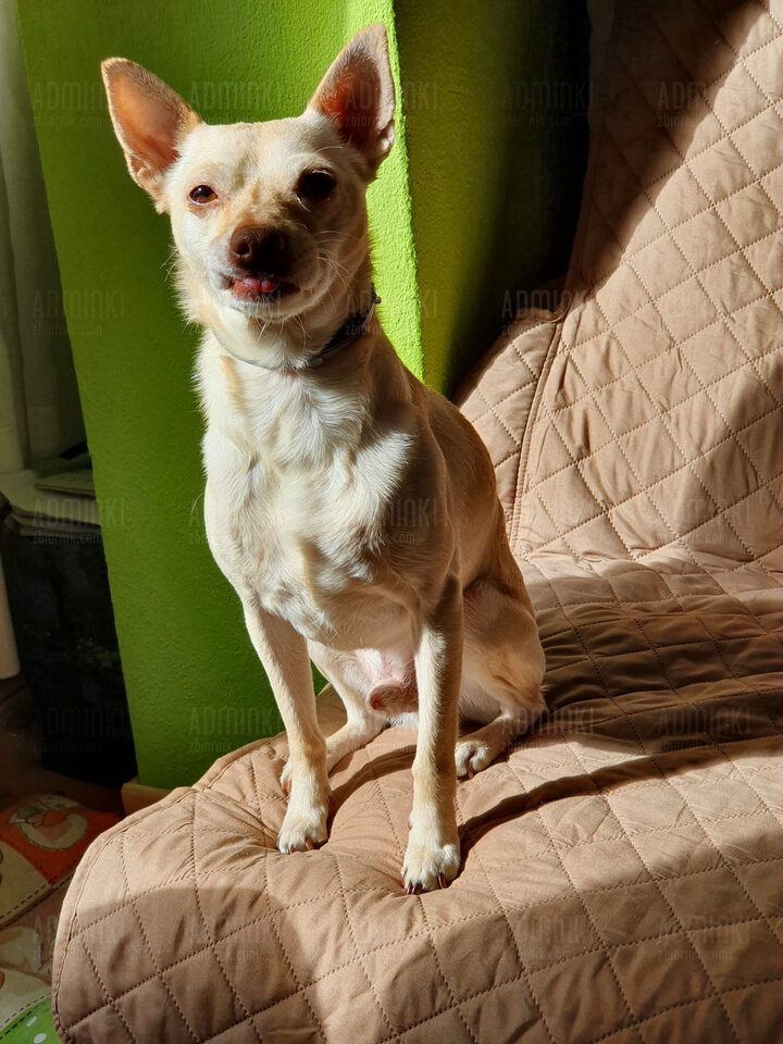 20220312_161819.jpg - Adminki