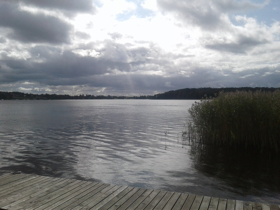 34533 (1).jpg - malupa