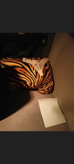 Screenshot_2022-01-06-22-12-40-70_d0cade44156bc62d72068ab2af4400