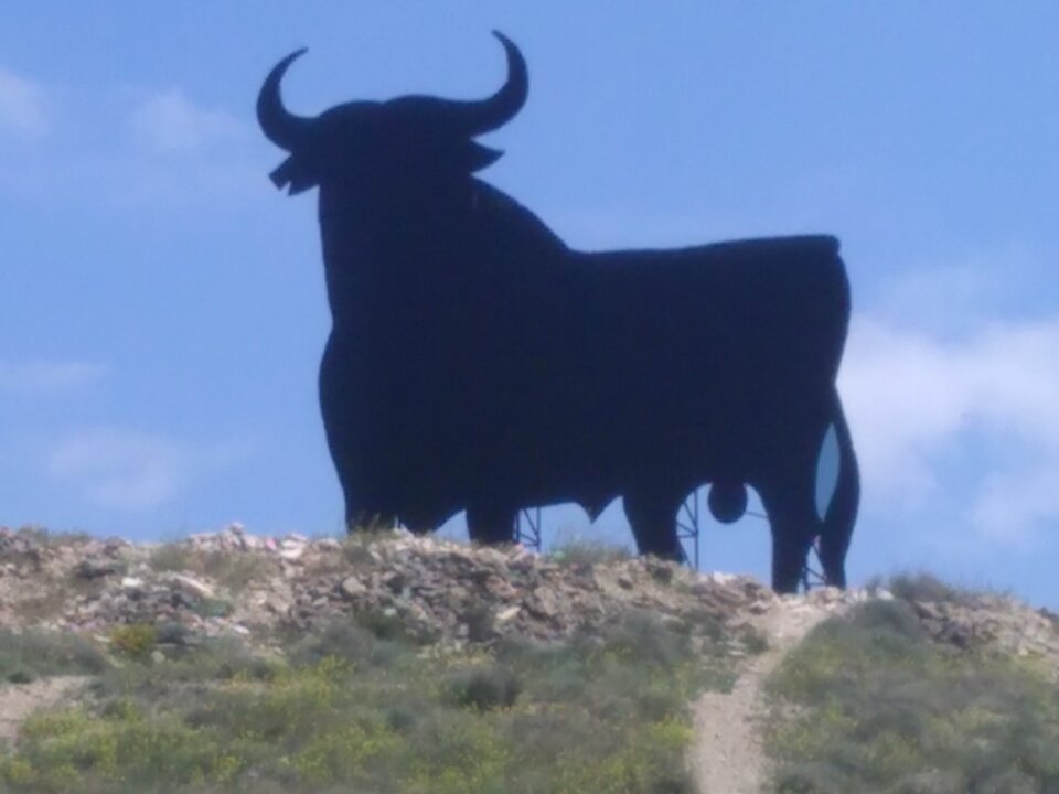 IMG_20180517_132507.jpg - cojones_big