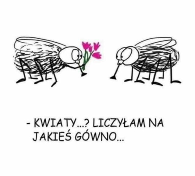 IMG-20220309-WA0001.jpg - enrikko