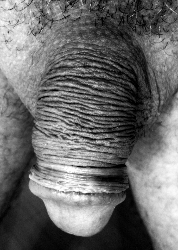 IMG_20220318_070449.jpg - vorenus79