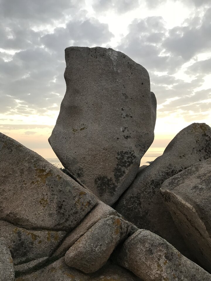 61A1C41D-08BF-4A31-B3F8-82F6E35276A2.jpeg - easygoing7