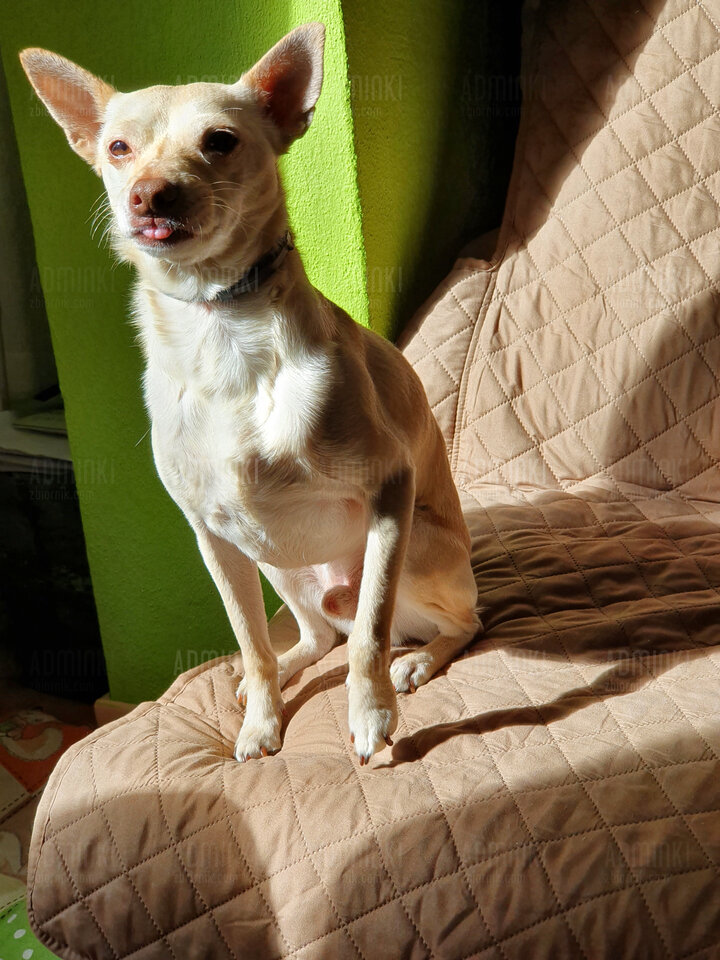 20220312_161814.jpg - Adminki