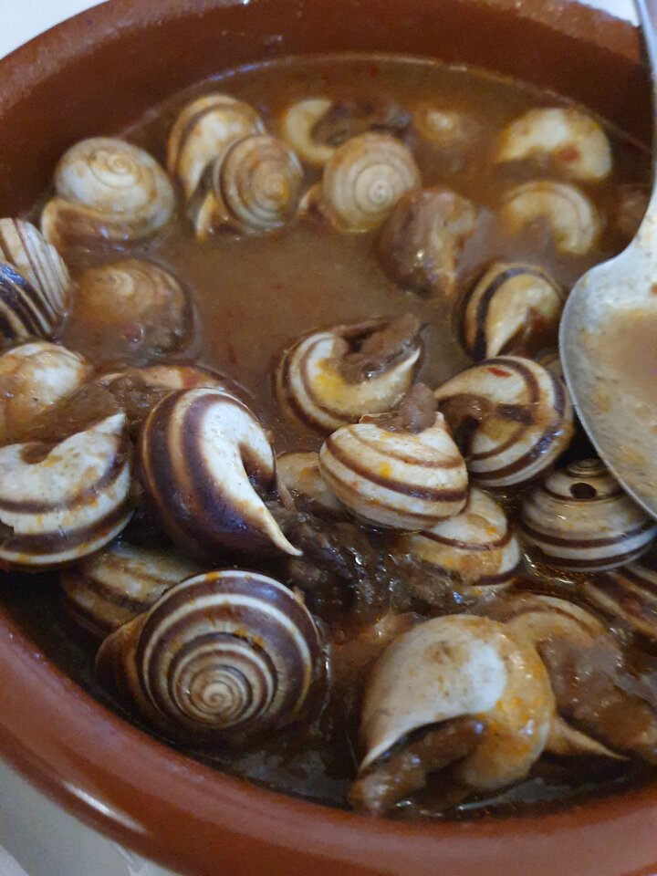 20211211_155809.jpg - Adminki