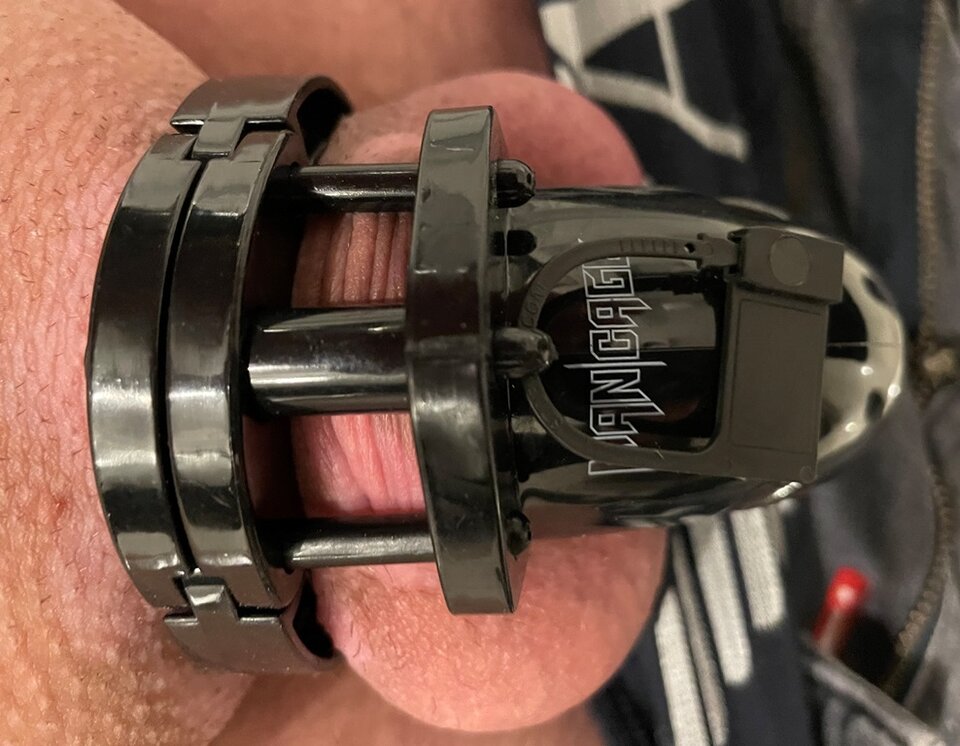 IMG_3882.JPG - tomrom