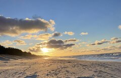 C54B9481-3BD7-43F3-B3FF-B8AB608AA701.jpeg