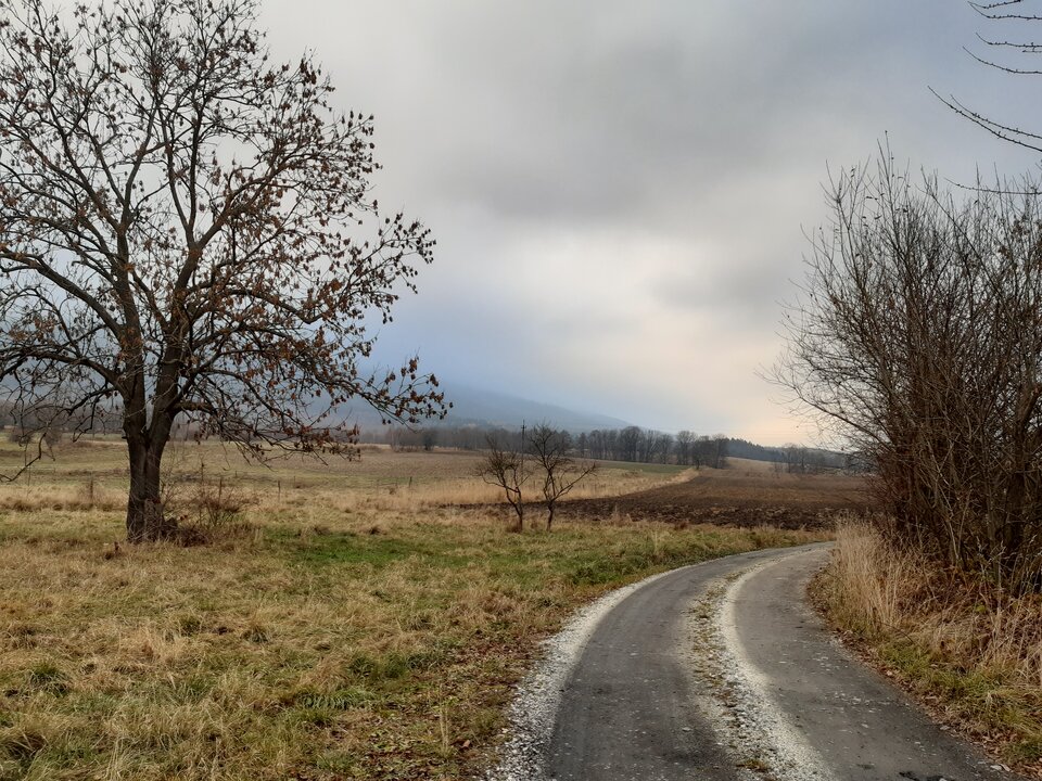 20211125_142611.jpg - torii99