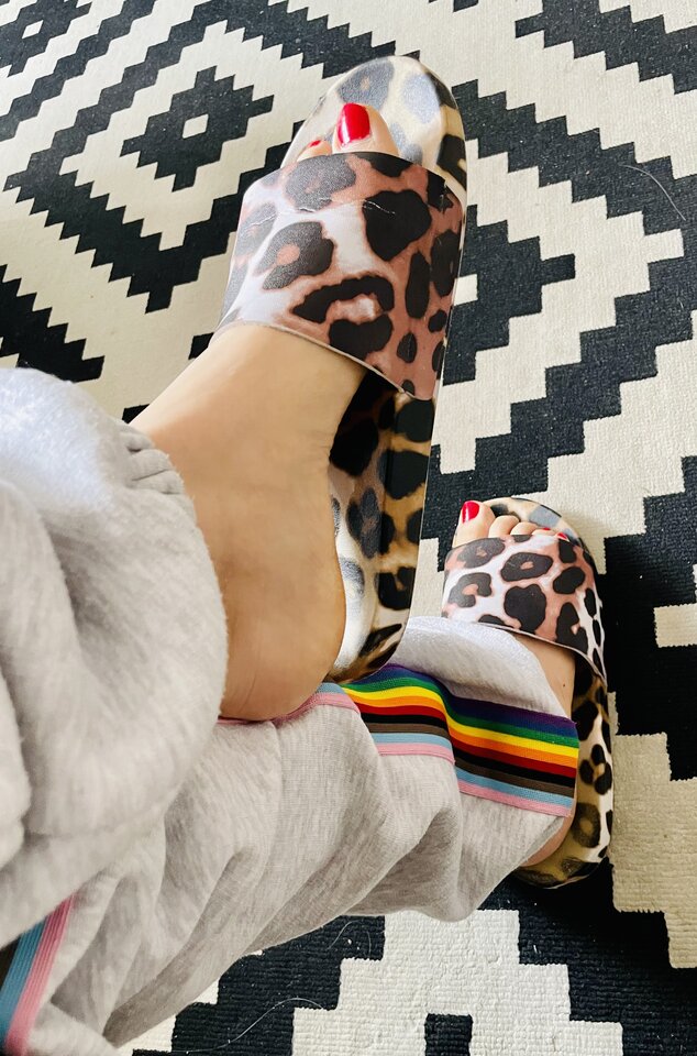 8FF620C1-D335-4013-9A8F-AEB329EA0694.jpeg - Kaytee