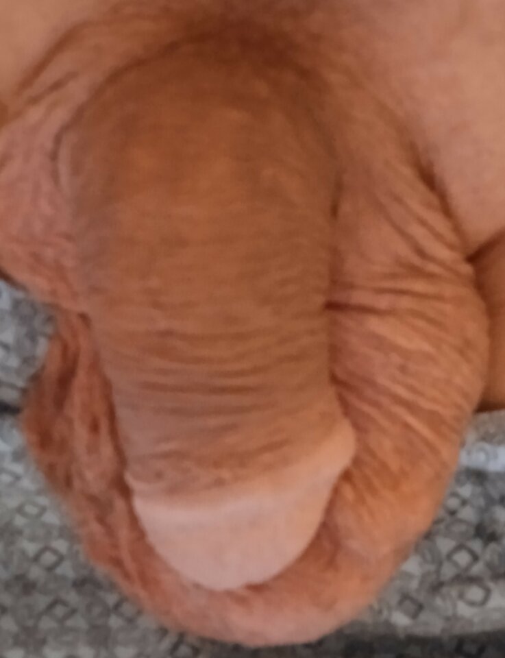 IMG_20220319_213748~2.jpg - 19Grzegorz55