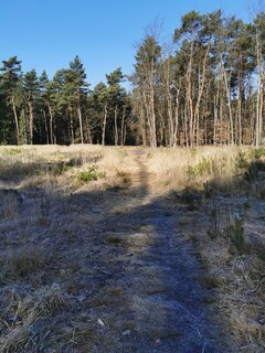 IMG_20220320_084425.jpg