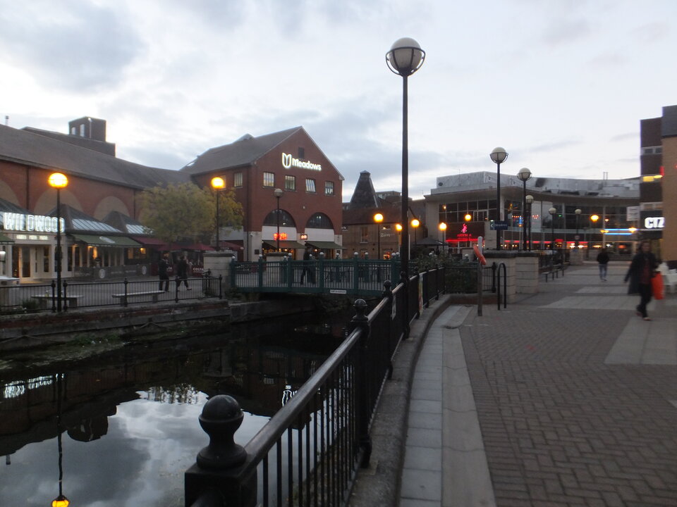 DSCF2172.JPG - Wstydliwi75