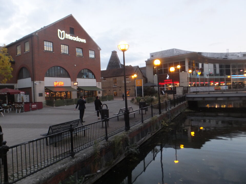 DSCF2174.JPG - Wstydliwi75