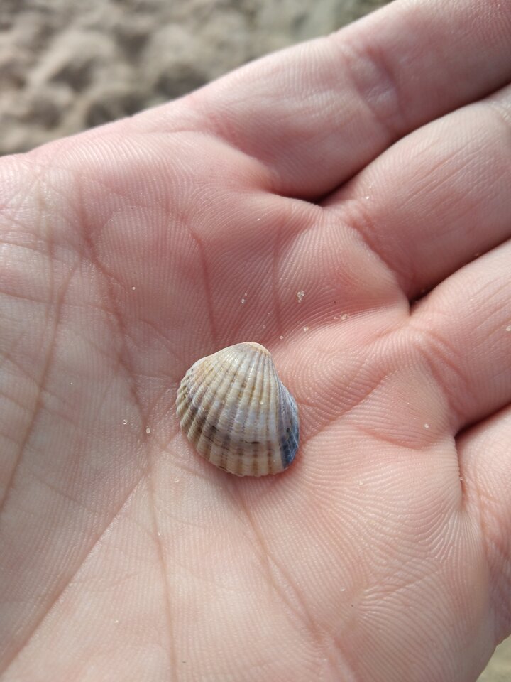 IMG_20220320_134944.jpg - super_facet85