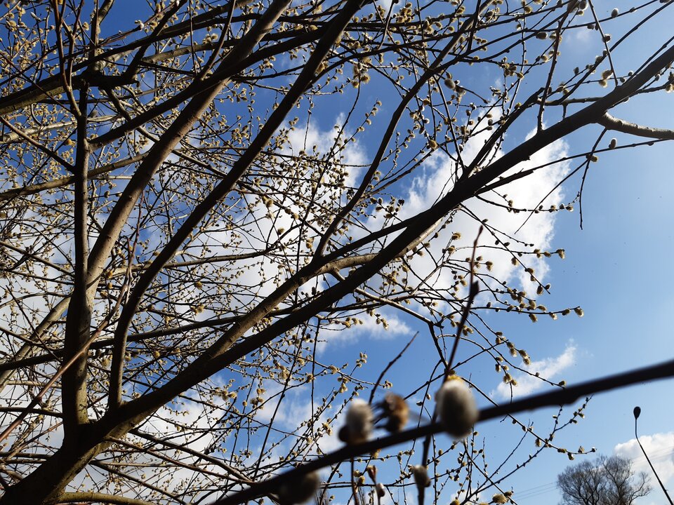 20220319_153001.jpg - torii99
