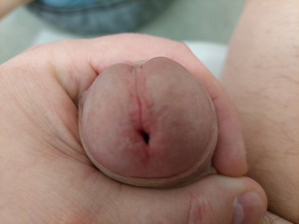 287.jpg - Piotr_zrezygnowany