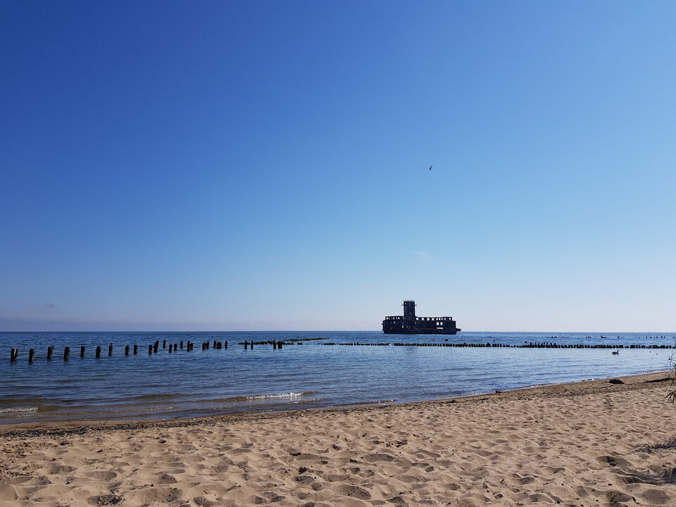 20200617_090708.jpg - MalyWacusAleWariat