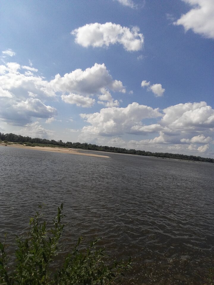 20200825_144308.jpg - 1970arkus