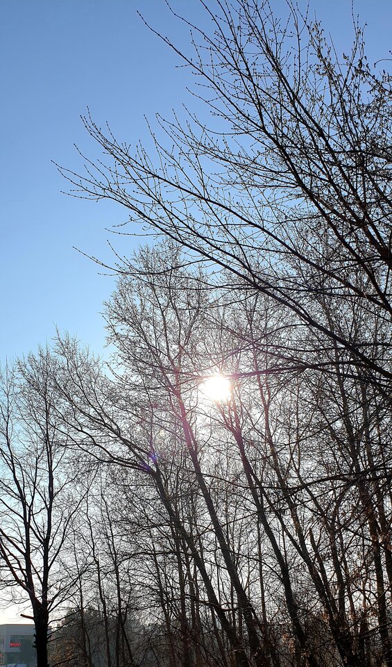 20220322_141038.jpg - Sh_e