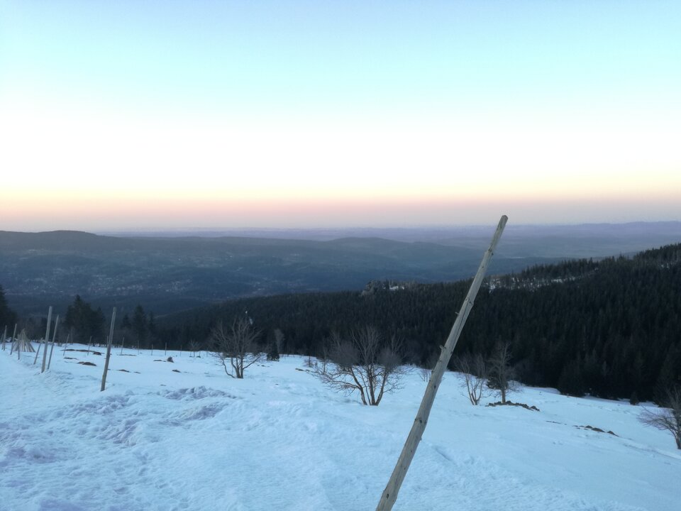 IMG_20220323_180314.jpg - Oczyniebieskie79