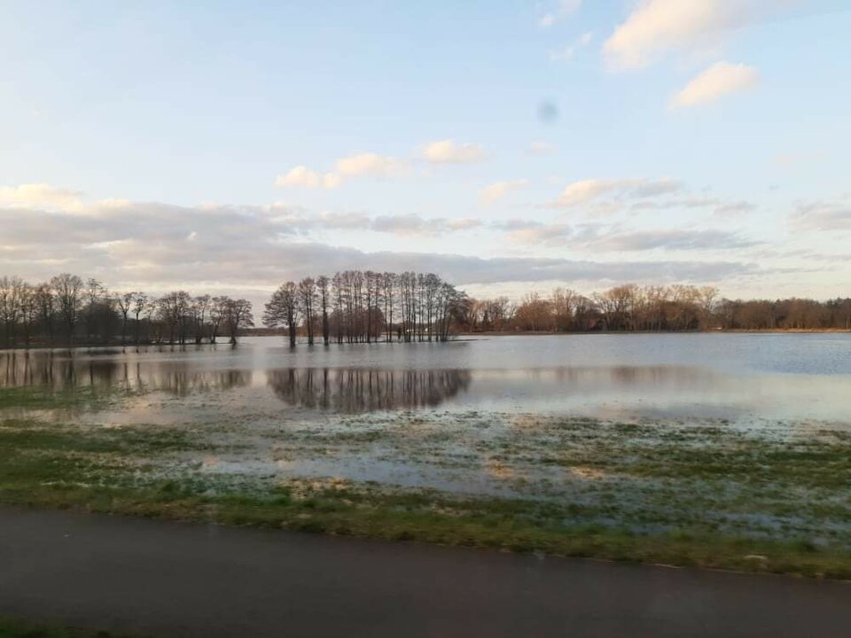 received_296385965925517.jpeg - aniewracamtuijuz5