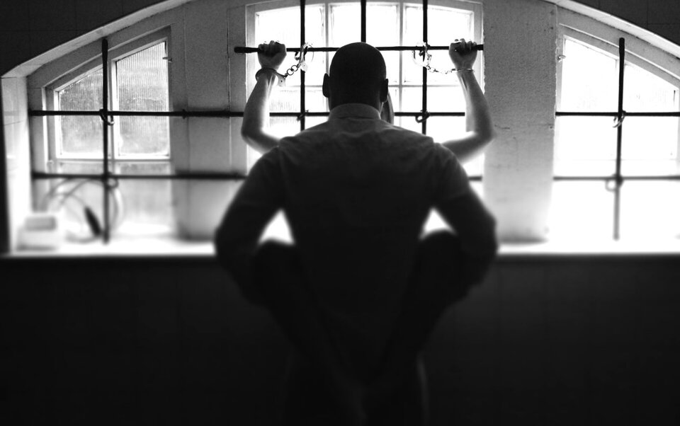 DSCO1809.jpeg - _Dzika_Orchidea_