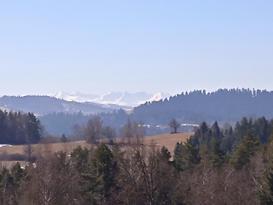 IMG_20220323_122245.jpg - 1Samwdomu