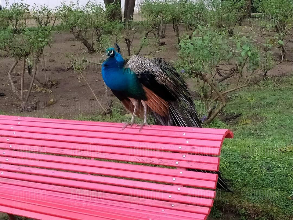 FB_IMG_1647900908807.jpg - Adminki