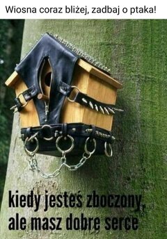 Tak tu to zostawię ...