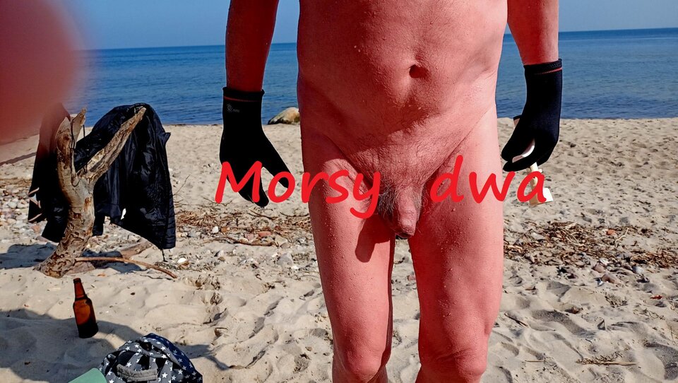 Zbiornik 1657 - Morsy_dwa