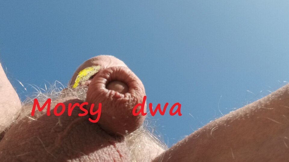 Zbiornik 1664 - Morsy_dwa