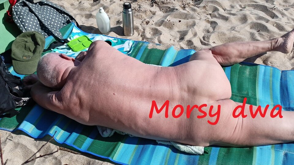 Zbiornik 1666 - Morsy_dwa