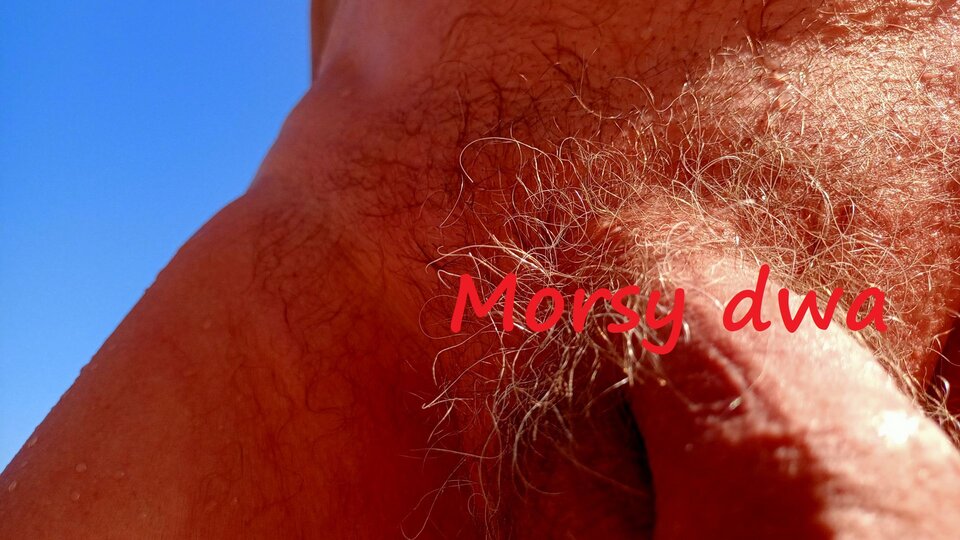 Zbiornik 1660 - Morsy_dwa