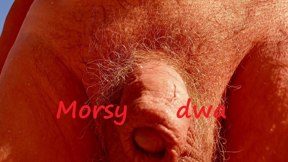 Zbiornik 1661 - Morsy_dwa