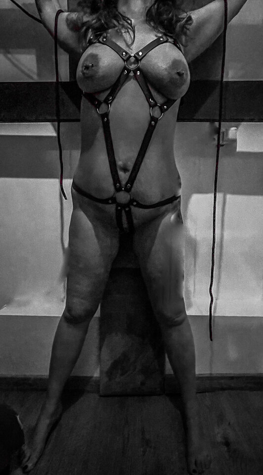 50 shades of Gray…. - We_know_HTML