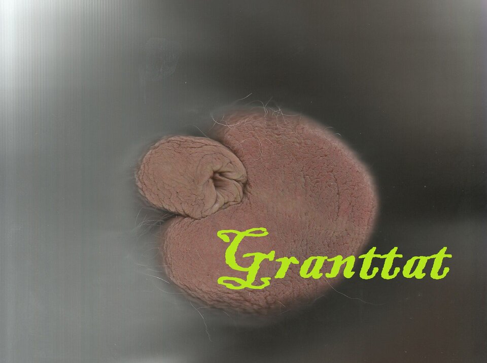 Granttat - Granttat60