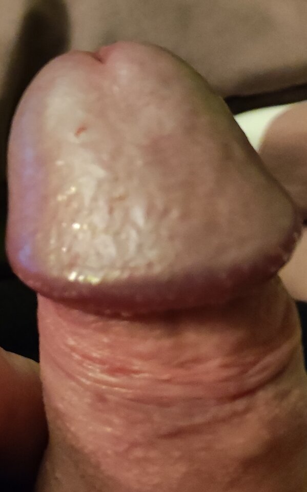 IMG_20220326_222229.jpg - Tajemniczo_dyskretny