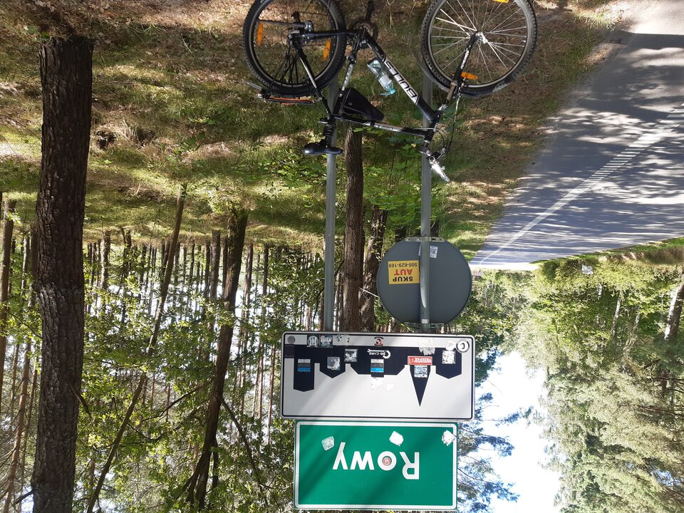 20210805_123729.jpg - 1973mm