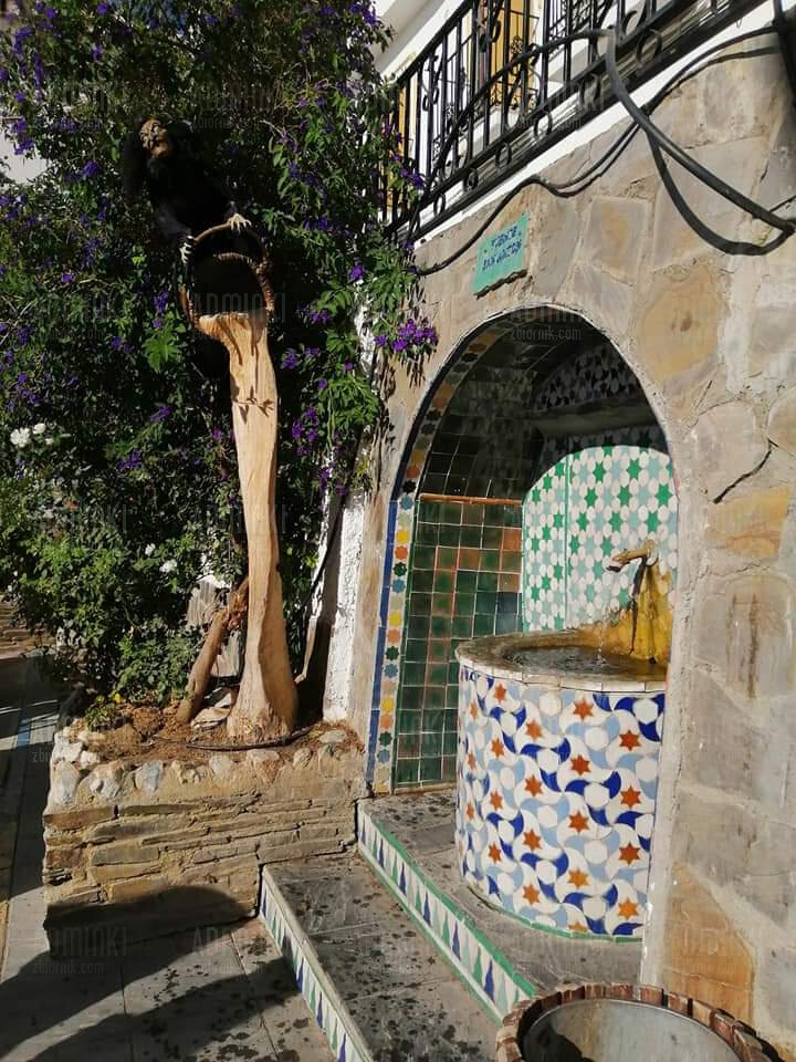 FB_IMG_1648057175588.jpg - Adminki