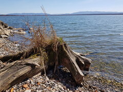 Taki konar nad śląskim morzem w marcu...
